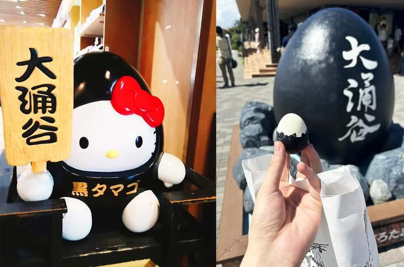 Mt Fuji Hakone/Enoshima Tour:Optional Ropeway/Lake Ashi Boat - Enoshima Shrine and Hetsunomiya