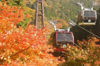 Mt. Fuji & Hakone: Fuji Sengen Shrine, Cruise, and Ramen-Making - Lake Ashi and the 25-minute pirate ship cruise