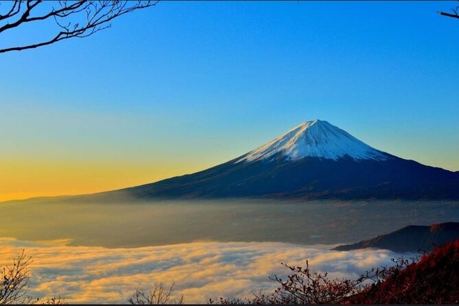 Mt. Fuji, Hakone Full-Day Private Tour with English Driver - Key points to know before booking