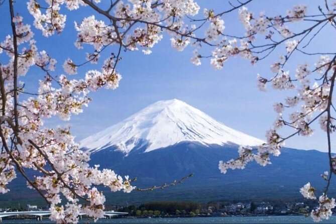 Mt. Fuji, Hakone Full-Day Private Tour with English Driver - Chureito Pagoda and its 400-step climb