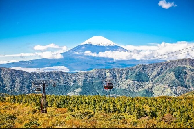 Mt. Fuji, Hakone Full-Day Private Tour with English Driver - Lake Ashi and the pirate-style sightseeing boat
