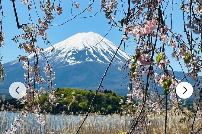 Mt. Fuji, Hakone Full-Day Private Tour with English Driver Guide - Lake Kawaguchiko and the Fuji Five Lakes views