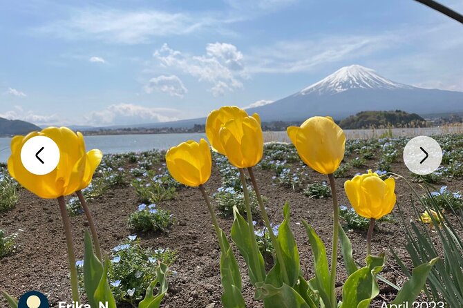 Mt. Fuji, Hakone Full-Day Private Tour with English Driver Guide - Oshino Hakkai, the Eight Seas of Oshino