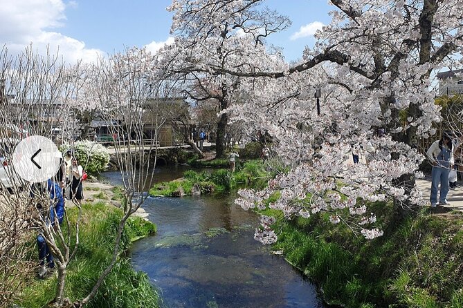 Mt. Fuji, Hakone Full-Day Private Tour with English Driver Guide - Arakurayama Sengen Park and Chureito Pagoda