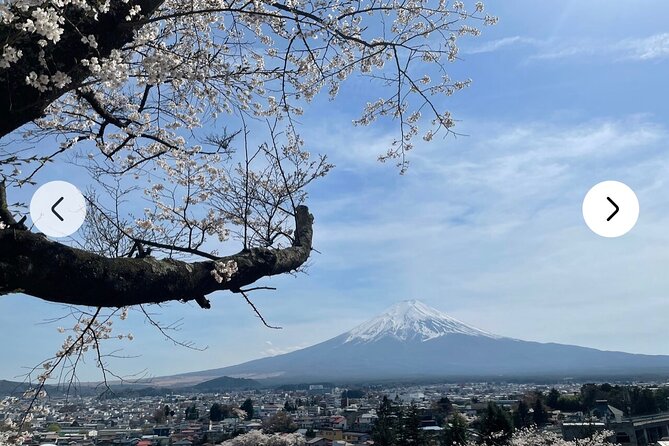 Mt. Fuji, Hakone Full-Day Private Tour with English Driver Guide - Kitaguchi Hongu Fuji Sengen Shrine