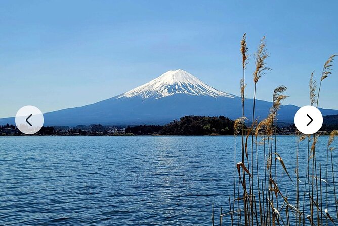 Mt. Fuji, Hakone Full-Day Private Tour with English Driver Guide - Saiko Iyashi no Sato Nenba