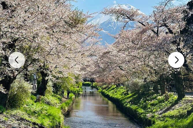 Mt. Fuji, Hakone Full-Day Private Tour with English Driver Guide