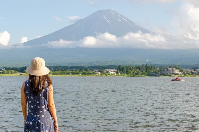 Mt. Fuji & Hakone Private Day Tour with English-Speaking Driver - Lake Ashi and the pirate ship