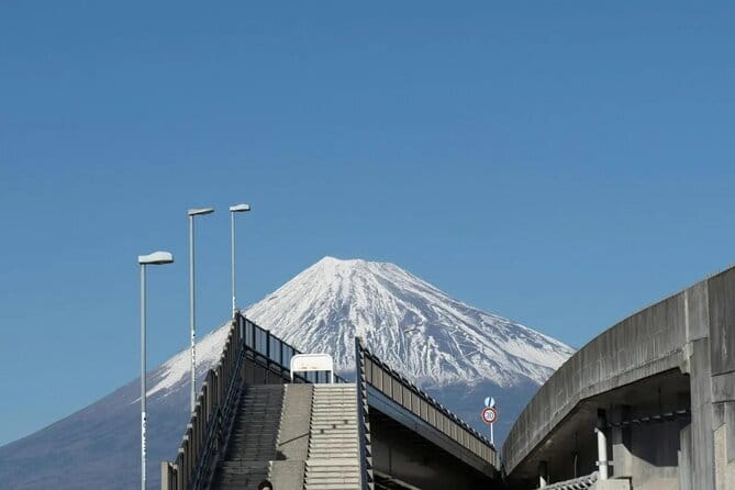 Mt Fuji, Hakone Private Tour by Car Pickup from Tokyo - Kitaguchi Hongu Fuji Sengen Jinja in the forest