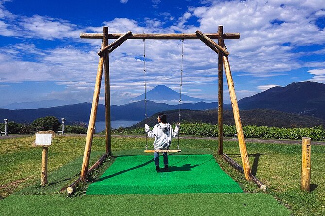 Mt. Fuji, Hakone Private Tour from Tokyo - Onsen, Arts and Nature - Lunch is flexible, but not included