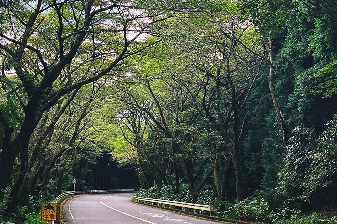 Mt. Fuji, Hakone Private Tour from Tokyo - Onsen, Arts and Nature - Tenzan Tohji-kyo and the Japanese onsen experience