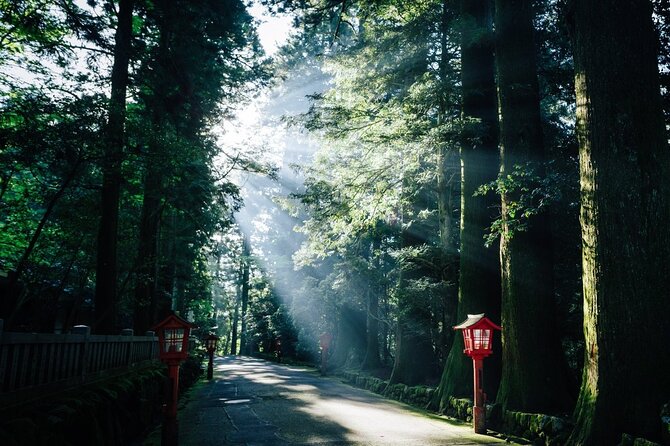 Mt. Fuji, Hakone Private Tour from Tokyo - Onsen, Arts and Nature - What the guide adds to the experience