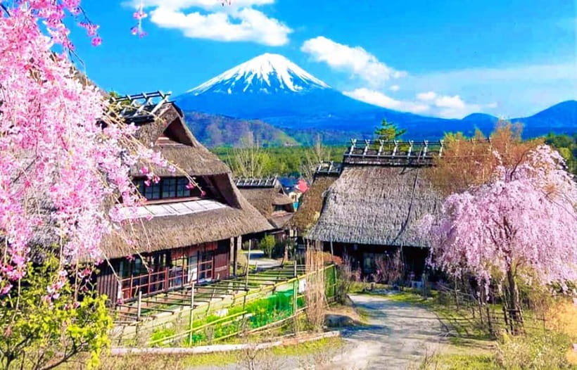 Mt. Fuji Heritage Tour: Traditional Villages, Lakes & Shrine - Key points to know before you book