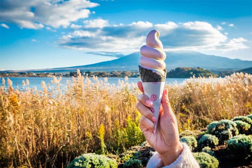 Mt. Fuji Heritage Tour: Traditional Villages, Lakes & Shrine - A planned lunch break, with no meal included