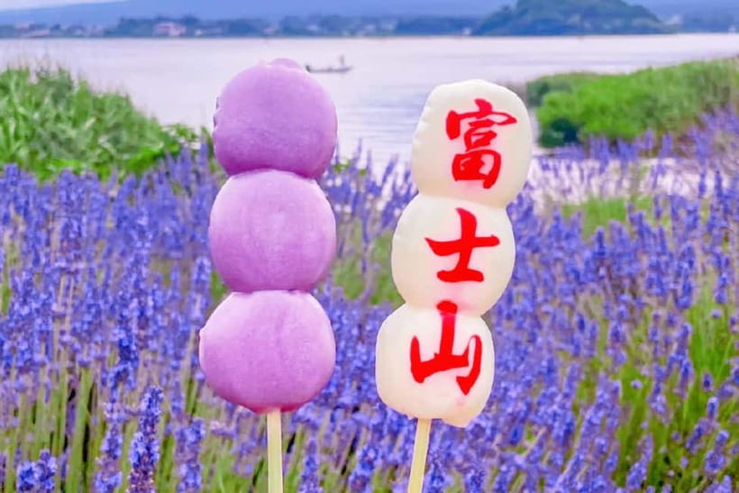 Mt. Fuji Heritage Tour: Traditional Villages, Lakes & Shrine - What to bring and what can go wrong