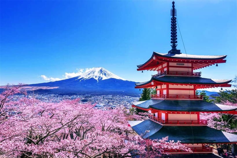 Mt. Fuji Heritage Tour: Traditional Villages, Lakes & Shrine - Who should book this Mt. Fuji tour?