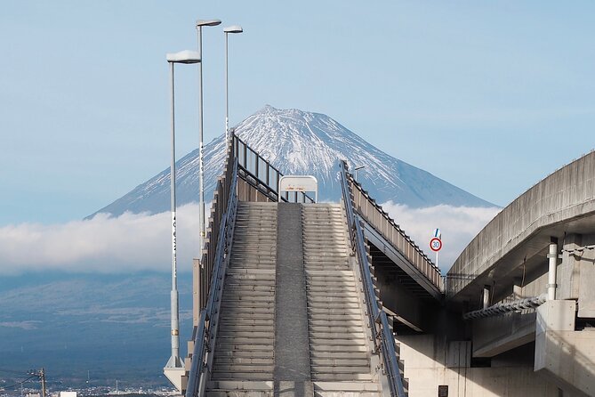 Mt. Fuji Highlight Photo Spots One Day Tour from Tokyo - The Lawson Photo Stop in Fujikawaguchiko