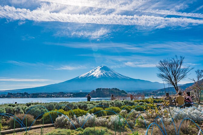 Mt. Fuji Highlight Photo Spots One Day Tour from Tokyo - What the Guides Add to a Fast Schedule