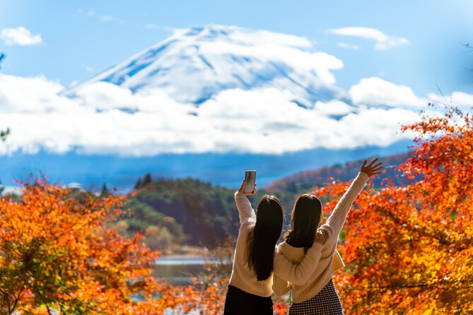 Mt. Fuji Highlight Photo Spots One Day Tour from Tokyo - Shimoyoshida Honcho Street and Its Nostalgic Fuji Frame