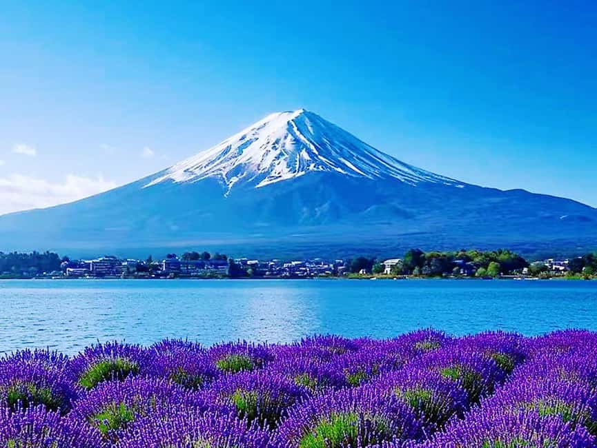 Mt. Fuji & Lake Kawaguchiko Ropeway Panorama Full-Day Tour - The real issue is weather and traffic