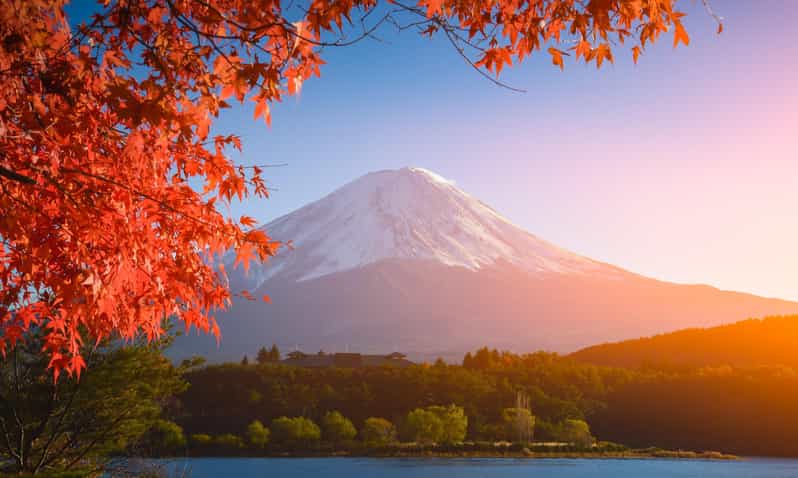 MT.Fuji: Mount Fuji Private day Tour With Guide - Lake Kawaguchiko: lunch, boats, and the ropeway