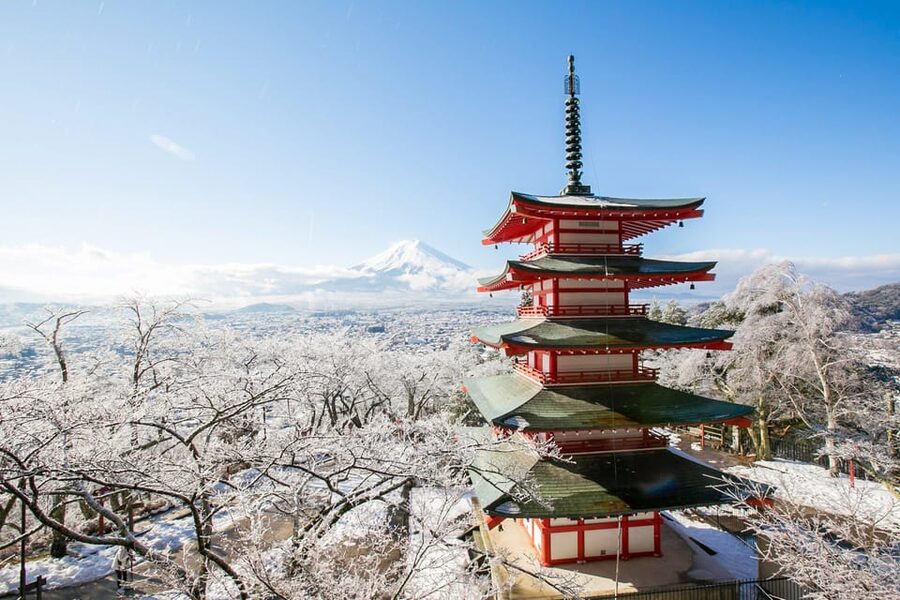 MT.Fuji: Mount Fuji Private day Tour With Guide - Fugaku Wind Cave: a cool volcanic detour
