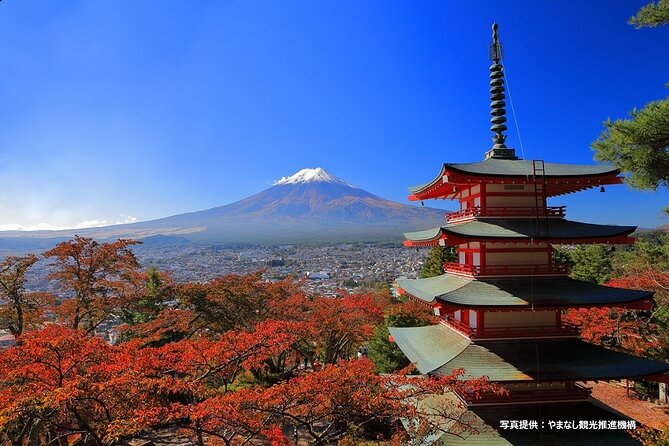 Mt. Fuji, Oishi Park & Arakurayama Pagoda Bus Tour with Lunch - Mt. Fuji’s 5th Station at 2,300 meters