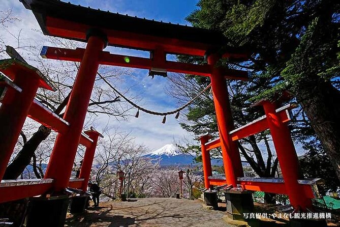 Mt. Fuji, Oishi Park & Arakurayama Pagoda Bus Tour with Lunch - Who should book this $99 Fuji tour?