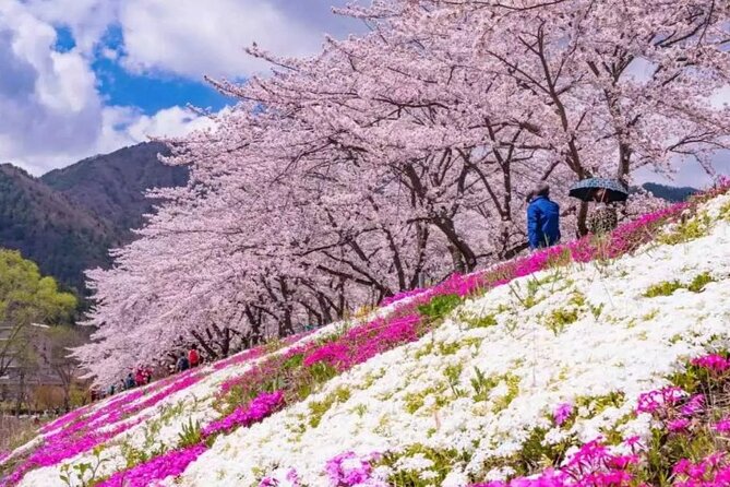Mt. Fuji Panoramic Ropeway, 5th Station, And Oshino Hakkai Tour - A long Fuji day from Shinjuku
