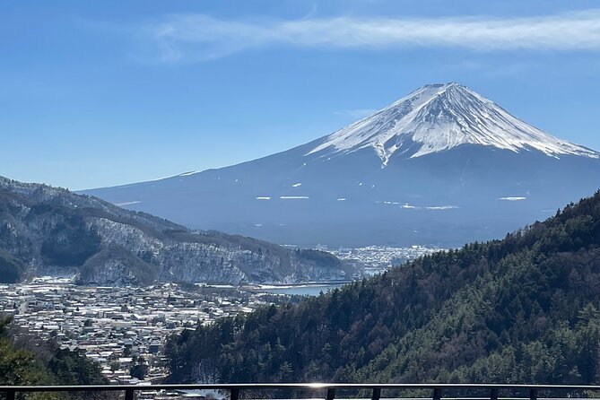 Mt FUJI - Panoramic Tour w/ Hoto Lunch, JP Sake & Onsen tatto OK! - Why this Fuji day trip earns a place on your shortlist