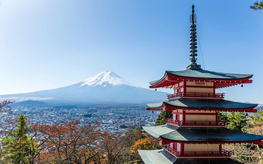 Mt Fuji : Private 10-Hour Luxury Tour by Exclusive Car - A driver, not always a full guide