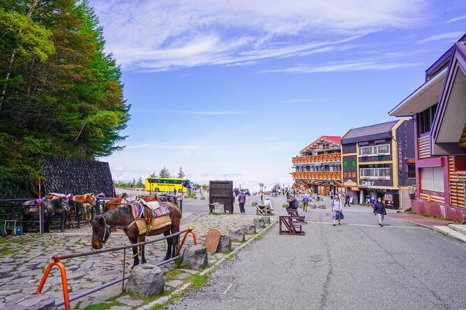 Mt. Fuji Private Chartered Tour with Nature and Wasabi Farm - A long Fuji day that gives you more than a photograph
