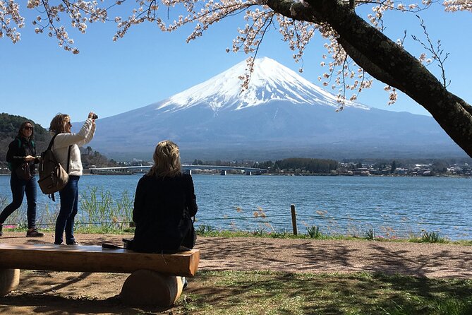 Mt Fuji Private Day Tour from Tokyo with English Speaking Driver - A private route to Mt Fuji from Tokyo