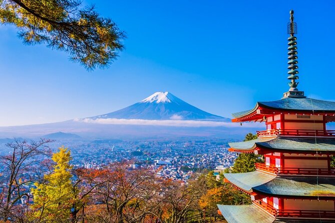 Mt Fuji Private Day Trip from Tokyo with English Speaking Driver - Why a private Fuji day can save your Tokyo holiday