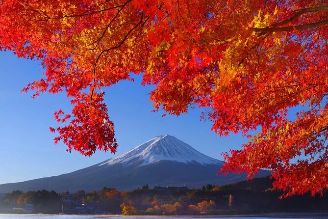 Mt Fuji Private Day Trip from Tokyo with English Speaking Driver - Oshino Hakkai: clear springs and a traditional village