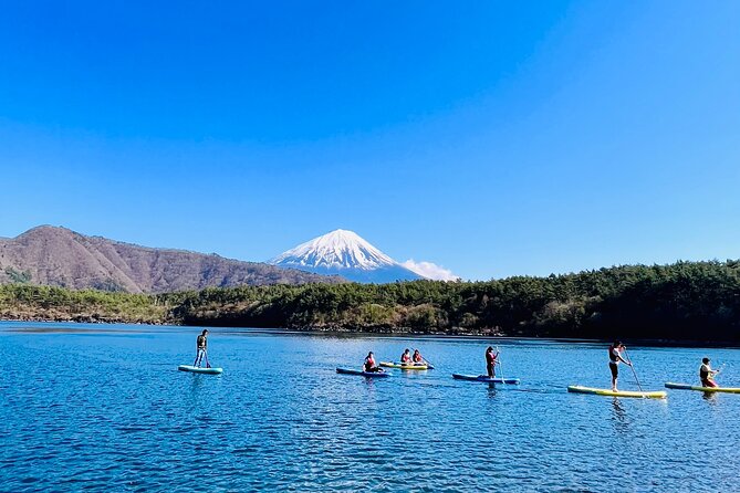 Mt Fuji Private Day Trip from Tokyo with English Speaking Driver - Iyashi no Sato Nenba: a reconstructed rural setting