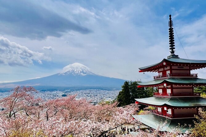Mt Fuji Private Day Trip from Tokyo with English Speaking Driver - How the schedule works in real life