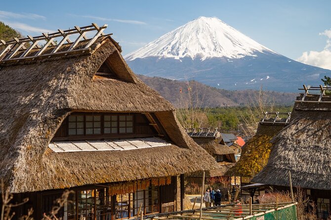 Mt Fuji Private Day Trip from Tokyo with English Speaking Driver