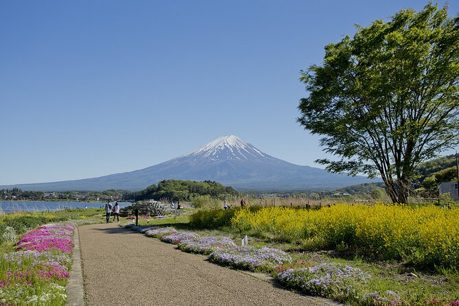 Mt.Fuji Private SightSeeing Day Tour (From Tokyo)