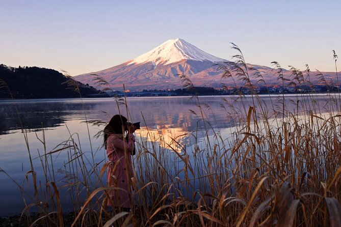 Mt. Fuji Private Tour with English Speaking Driver - A private route from Tokyo, built around your priorities