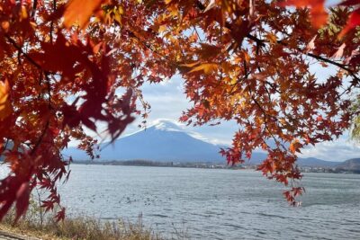 Mt Fuji Private Tour with English speaking driver - Mt Fuji 5th Station: the high viewpoint