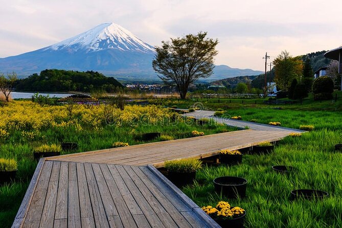 Mt. Fuji Private Tour with English Speaking Driver - Adding Gotemba Premium Outlets at the right time