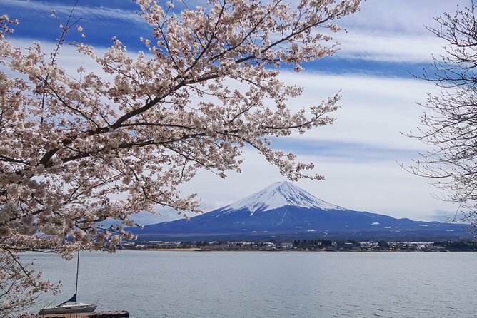 Mt. Fuji Private Tour with English Speaking Driver - What the driver adds, and where expectations should stay modest
