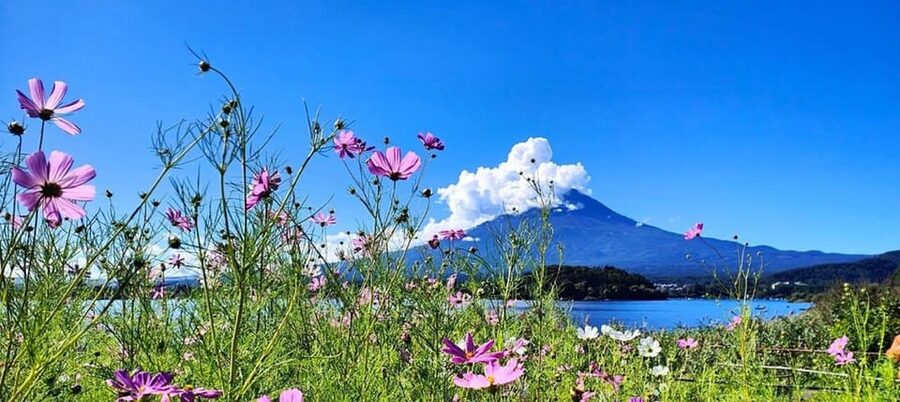 Mt. Fuji Private Tour With Hotel Pick Up From Tokyo - Oshino Hakkai and old-style village scenery