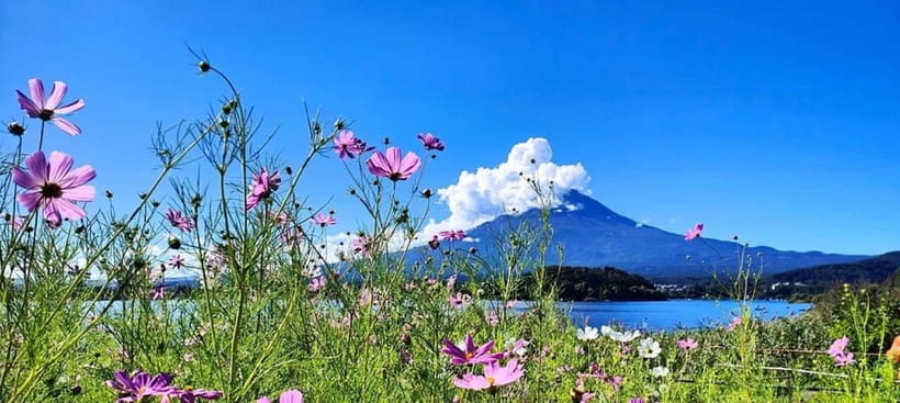 Mt. Fuji Private Tour With Hotel Pick Up From Tokyo