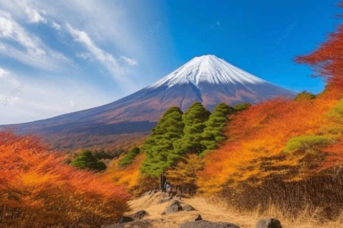 Mt Fuji Private Tour with Native Japanese Driver - Choose the route before you pay