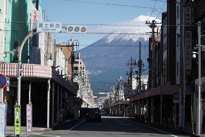 Mt Fuji Private Tour with Native Japanese Driver - Arakurayama Sengen Park is built for the famous view