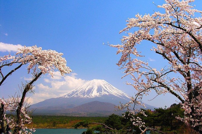 Mt Fuji Private Tour with Native Japanese Driver - Lake Ashi closes the Hakone section