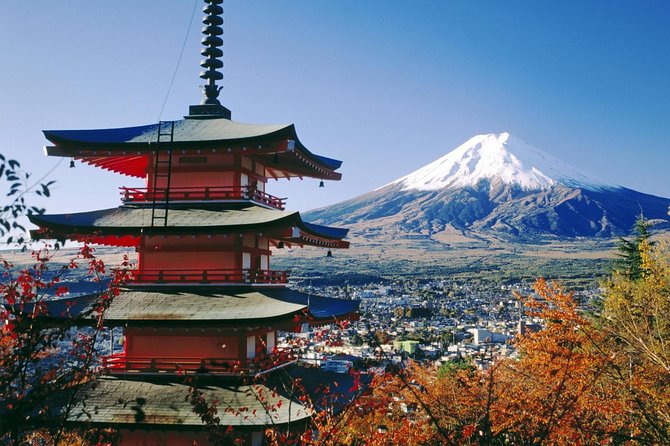 Mt Fuji Private Tour with Native Japanese Driver - Meals are simple, flexible, and extra