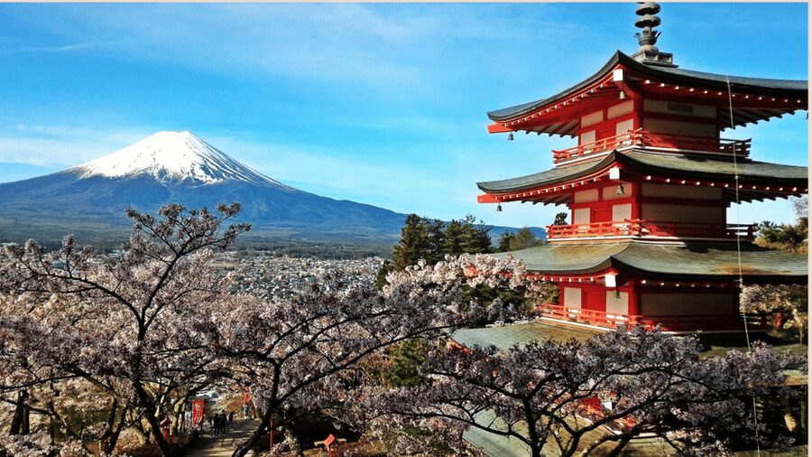 Mt Fuji Sightseeing Private tour with English Speaking Guide - Why an early start matters